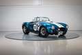 Shelby Sonstige Cobra CSX 4000 Series Blau - thumbnail 11