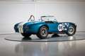 Shelby Sonstige Cobra CSX 4000 Series Blau - thumbnail 4