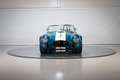 Shelby Sonstige Cobra CSX 4000 Series Blau - thumbnail 12