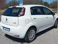 Fiat Grande Punto Fiat Grande Punto 1.2 Benz 5p Street passagg inclu Blanco - thumbnail 5