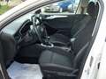 Ford Focus SW 1.5 ecoblue 120cv Titanium Beige - thumbnail 5