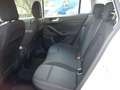 Ford Focus SW 1.5 ecoblue 120cv Titanium Beige - thumbnail 6