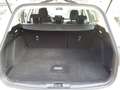 Ford Focus SW 1.5 ecoblue 120cv Titanium Beige - thumbnail 7