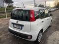 Fiat Panda 1.2 Lounge  Gpl 69cv  PROMO FINANZIAMENTO Wit - thumbnail 7