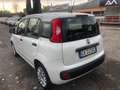 Fiat Panda 1.2 Lounge  Gpl 69cv  PROMO FINANZIAMENTO Wit - thumbnail 4