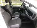 Fiat Panda 1.2 Lounge  Gpl 69cv  PROMO FINANZIAMENTO Wit - thumbnail 16