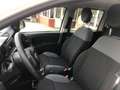 Fiat Panda 1.2 Lounge  Gpl 69cv  PROMO FINANZIAMENTO Wit - thumbnail 12