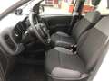 Fiat Panda 1.2 Lounge  Gpl 69cv  PROMO FINANZIAMENTO Wit - thumbnail 8