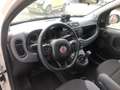 Fiat Panda 1.2 Lounge  Gpl 69cv  PROMO FINANZIAMENTO Wit - thumbnail 9