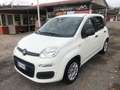 Fiat Panda 1.2 Lounge  Gpl 69cv Bianco - thumbnail 3