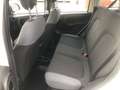 Fiat Panda 1.2 Lounge  Gpl 69cv Bianco - thumbnail 15