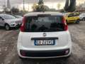 Fiat Panda 1.2 Lounge  Gpl 69cv Bianco - thumbnail 5