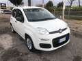 Fiat Panda 1.2 Lounge  Gpl 69cv  PROMO FINANZIAMENTO Wit - thumbnail 1