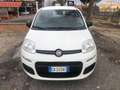 Fiat Panda 1.2 Lounge  Gpl 69cv  PROMO FINANZIAMENTO Wit - thumbnail 2