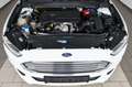 Ford Mondeo Lim. Trend Navi,SH,PDC,SR+WR Weiß - thumbnail 22