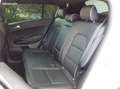 Kia Sportage 2.0 crdi 136 gt line 4wd Weiß - thumbnail 6