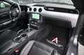 Ford Mustang Coupe 5.0 V8 Ti-VCT GT Navi* Premium* Grau - thumbnail 12