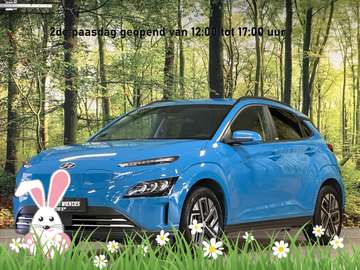 EV Comfort Smart 39 kWh | Standkachel | Krell Soun