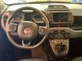 Fiat Panda Panda Cross 1.0 firefly hybrid City Cross Verde - thumbnail 14