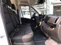 Toyota Proace Max Kasten Electric L3H2 Meister 35H Weiß - thumbnail 21