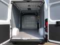 Toyota Proace Max Kasten Electric L3H2 Meister 35H Weiß - thumbnail 10