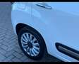 Fiat 500L 500L 1.3 mjt Pop Star 95cv Blanc - thumbnail 21