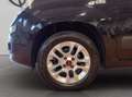 Fiat Panda 1.2 easy s&s 69cv my19 Blu/Azzurro - thumbnail 12