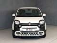 Fiat Panda 1.0 HYBRID 70CV CITY CROSS Bianco - thumbnail 3