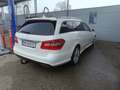 Mercedes-Benz E 350 E 350 T Elegance 4MATIC CDI Aut. Elegance Weiß - thumbnail 3