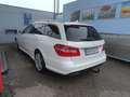 Mercedes-Benz E 350 E 350 T Elegance 4MATIC CDI Aut. Elegance Weiß - thumbnail 4