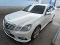 Mercedes-Benz E 350 E 350 T Elegance 4MATIC CDI Aut. Elegance Weiß - thumbnail 2