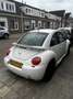 Volkswagen New Beetle 2.0 Білий - thumbnail 4
