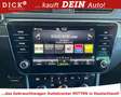 Skoda Superb C Scout 4x4 2.0TDI PANO/MATR/4x4/ACC/AHK Zwart - thumbnail 9