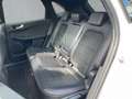 Ford Kuga ST-Line X / PHEV / 225PS / Pano / AHK / B&O Weiß - thumbnail 10
