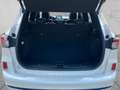 Ford Kuga ST-Line X / PHEV / 225PS / Pano / AHK / B&O Weiß - thumbnail 7