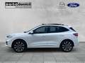 Ford Kuga ST-Line X / PHEV / 225PS / Pano / AHK / B&O Weiß - thumbnail 5