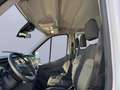 Ford Transit Pritsche DoKa 350 L3 *AHK*KLIMA*BEIFAHRER-AIRBAG* Blanco - thumbnail 17