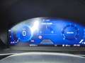 Ford Focus ST-Line X  5-türig 155PS Benzin mHEV Blau - thumbnail 10