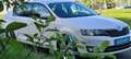 Skoda Rapid/Spaceback Skoda Rapid 1,2 Elegance TSI Green tec Weiß - thumbnail 7