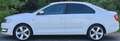 Skoda Rapid/Spaceback Skoda Rapid 1,2 Elegance TSI Green tec Weiß - thumbnail 2