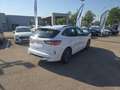 Ford Kuga 2.5 Duratec 190ch FHEV E85 ST-Line BVA Blanc - thumbnail 5