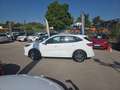 Ford Kuga 2.5 Duratec 190ch FHEV E85 ST-Line BVA Blanc - thumbnail 8