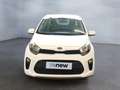 Kia Picanto Must ISG Blanc - thumbnail 3