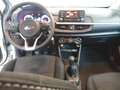 Kia Picanto Must ISG Blanc - thumbnail 12