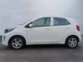Kia Picanto Must ISG Blanc - thumbnail 5