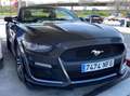 Ford Mustang Mustang Convertible 2.3 EcoBoost Aut. Gris - thumbnail 1