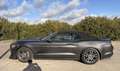 Ford Mustang Mustang Convertible 2.3 EcoBoost Aut. Gris - thumbnail 7