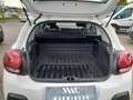 Citroen C3 C3 VAN BlueHDi 100 S&S Feel Blanc - thumbnail 12