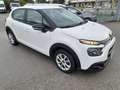 Citroen C3 C3 VAN BlueHDi 100 S&S Feel Blanc - thumbnail 5