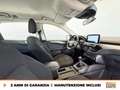 Ford Kuga 1.5 ecoblue titanium 2wd 120cv Grau - thumbnail 6
